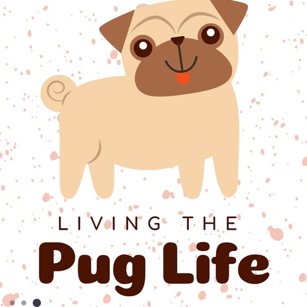 Pug Dog Decorative Sticker (Only 1)